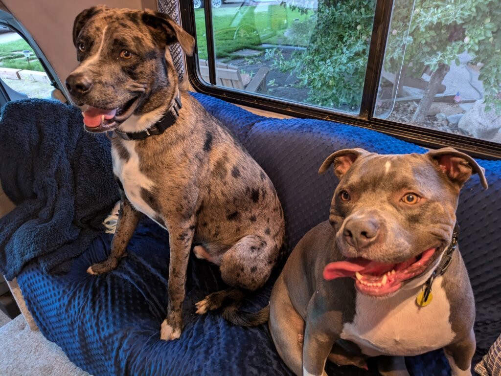 Leave no Trace RV Adventures with Dogs